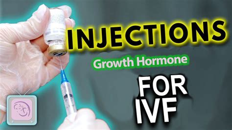 <b>Omnitrope</b> Hormone Infertile couples who are considering in-vitro fertilization (<b>IVF</b>) often have many questions regarding treatment. . Omnitrope protocol for ivf